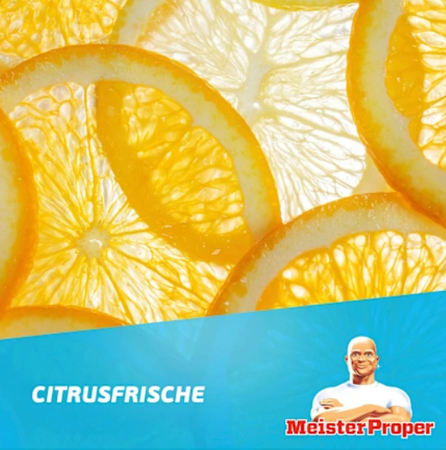 Meister Proper Citrus Uniwersalny Środek Czyszczący 1 l