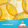 Meister Proper Citrus Uniwersalny Środek Czyszczący 1 l