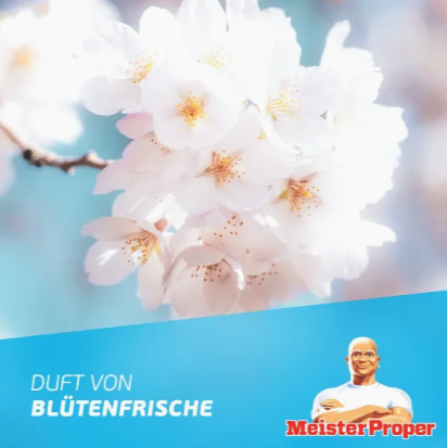 Meister Proper Badreiniger Blutenfrische Spray do Łazienki 800 ml