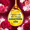 Lenor Passion Jasmin&Rose de Mai Płyn do Płukania 40 prań 