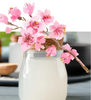 Tesori d'Oriente Ikigai Płyn do Kąpieli 500 ml