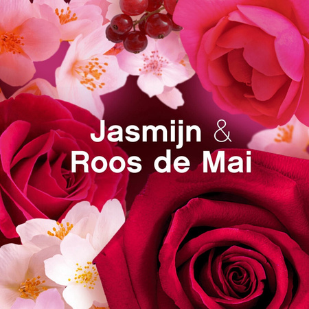 Lenor Passion Jasmin&Rose de Mai Płyn do Płukania 40 prań 