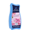Fiori di Ciliegio e Peonia 